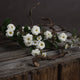 Wild Meadow Rose_5956
