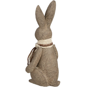 Winter Bunny Rabbit_3665
