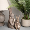 Winter Bunny Rabbit_3668