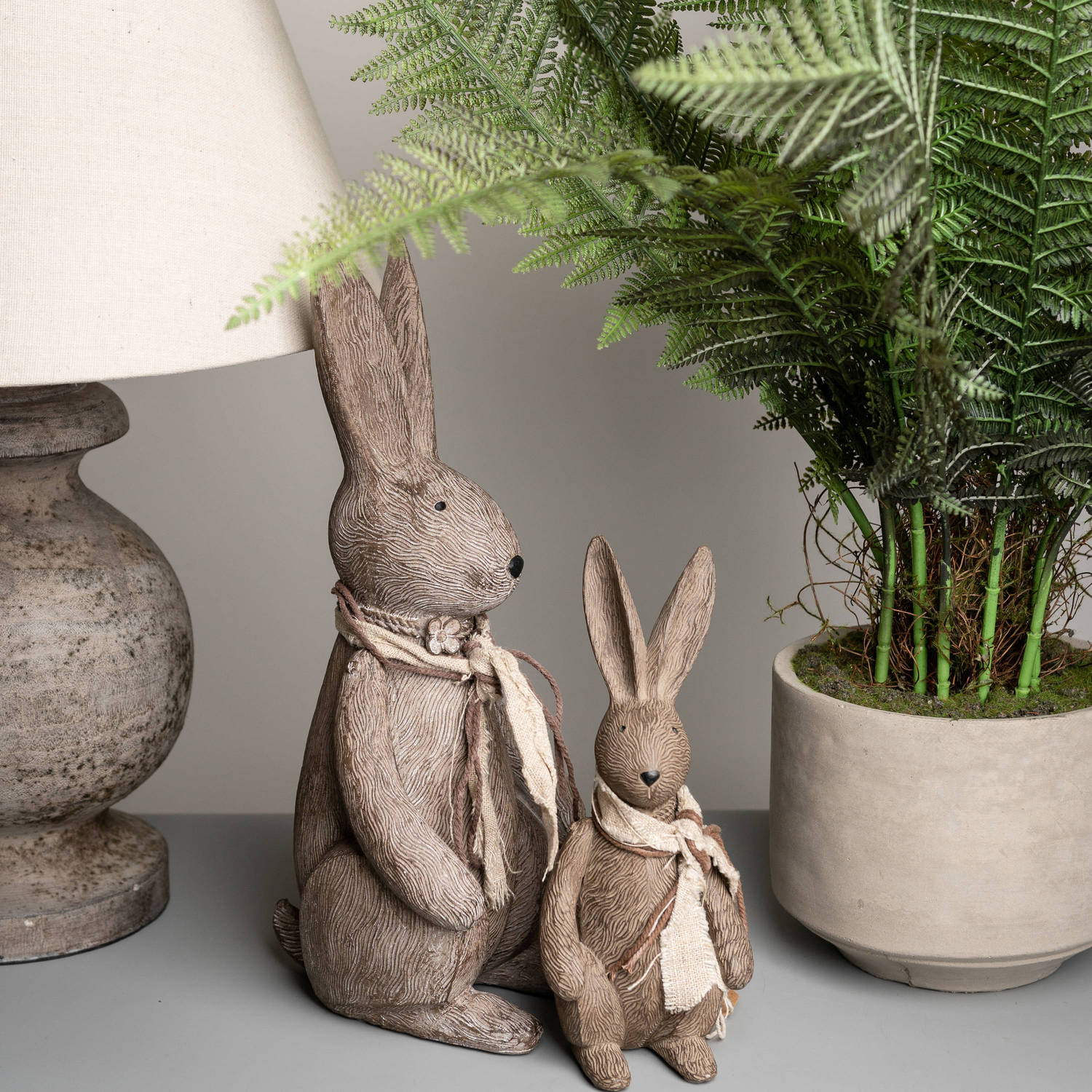 Winter Bunny Rabbit_3668