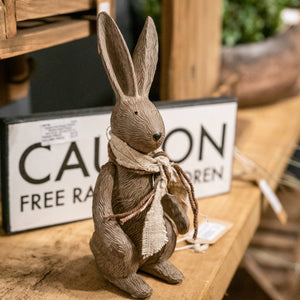 Winter Bunny Rabbit_3667