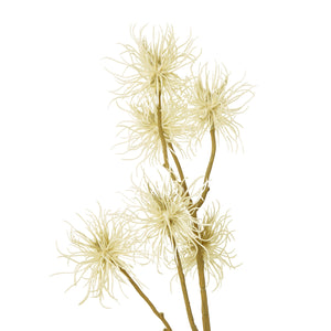 Xanthium Spray_4712