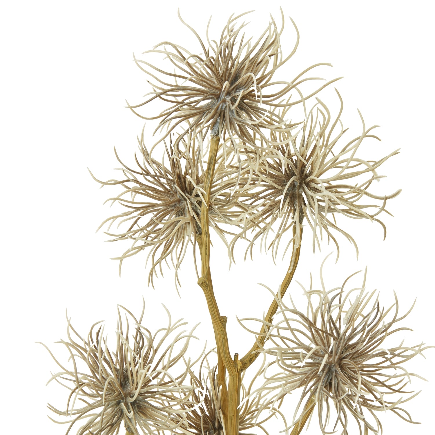 Xanthium Spray_4504