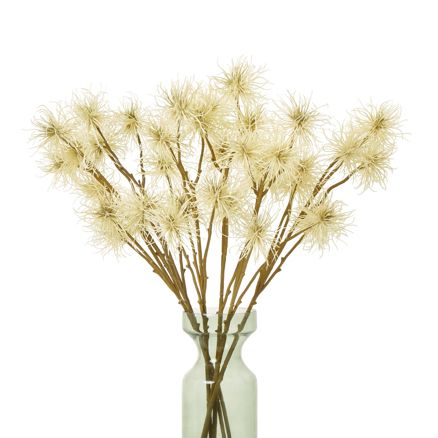 Xanthium Spray_4713