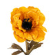 Yellow Anemone Stem_5972